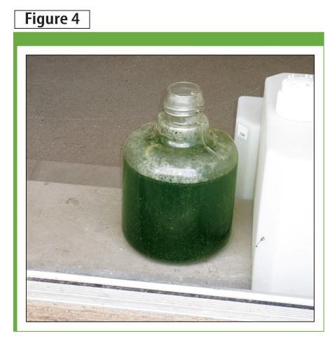 Biomass from the BIQ building (shown on page 46) is taken offsite and converted into biogas.