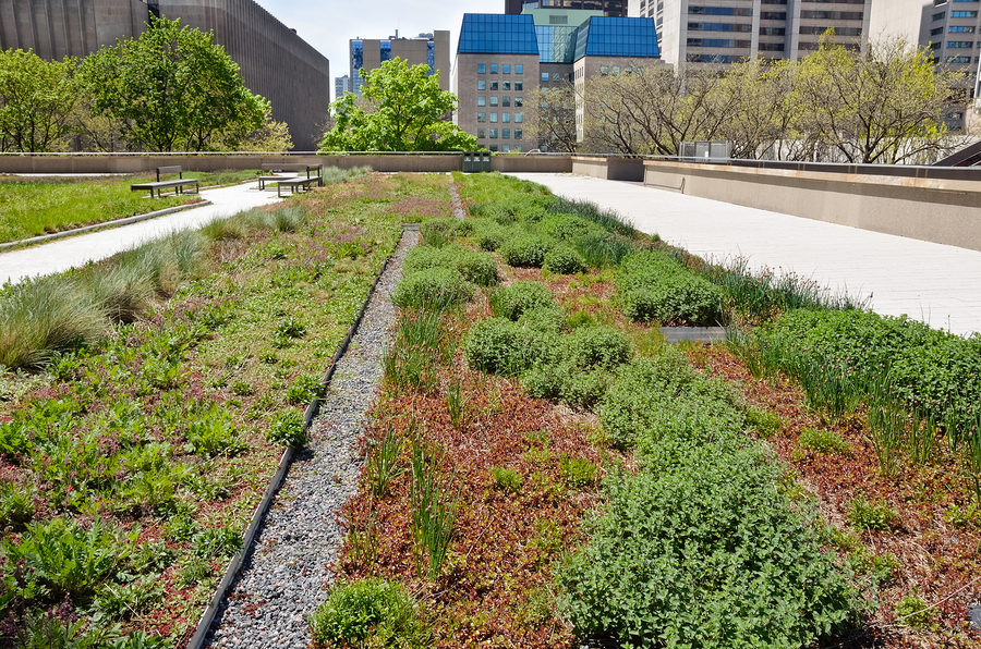 bigstock-Rooftop-Garden-32782913