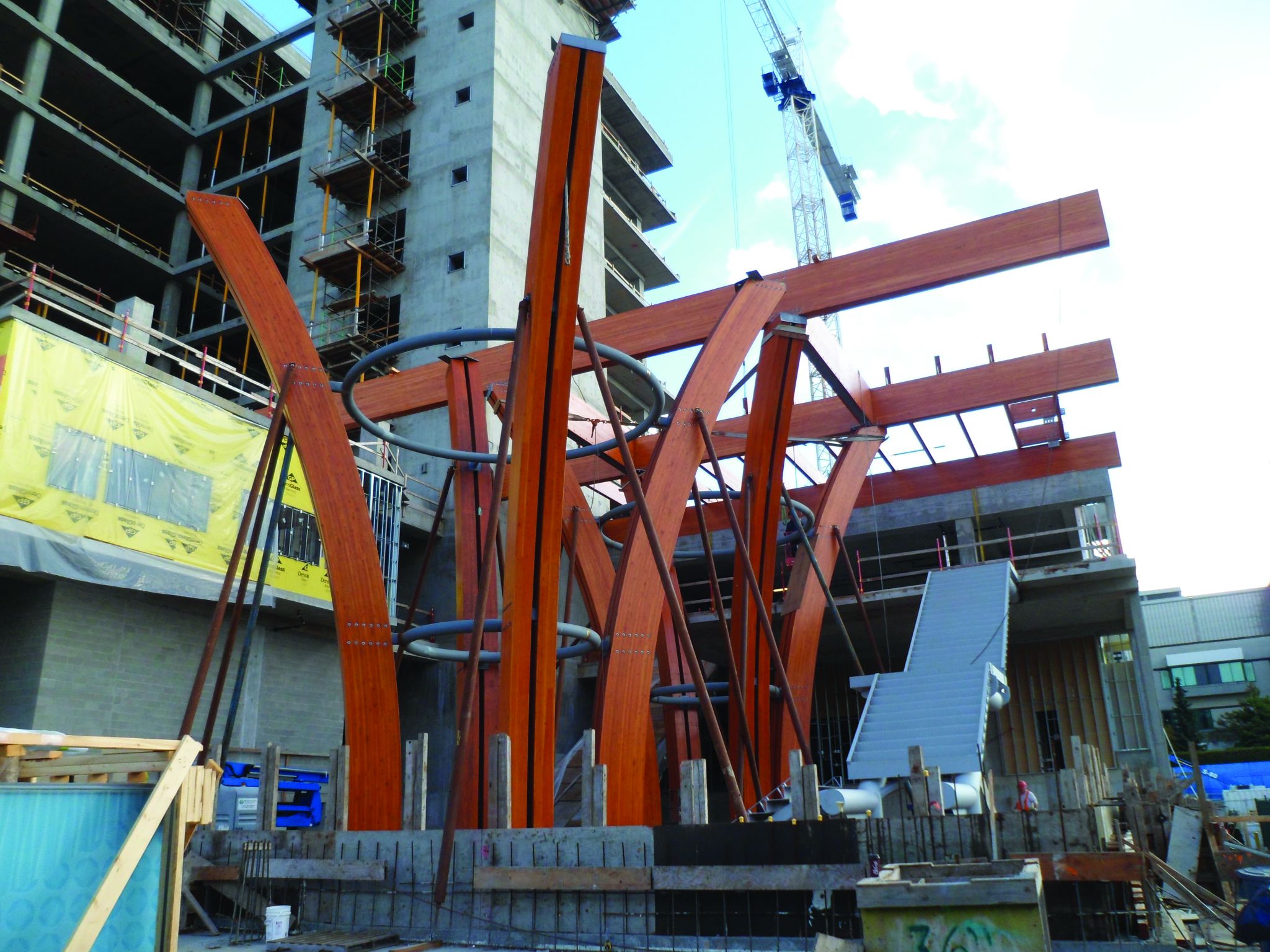 The interior glued-laminated timber (glulam) tree structures, also shown on page eight, represent one of the hallmarks of this project. Photo © Jerald Walliser. Photo courtesy Fraser Health