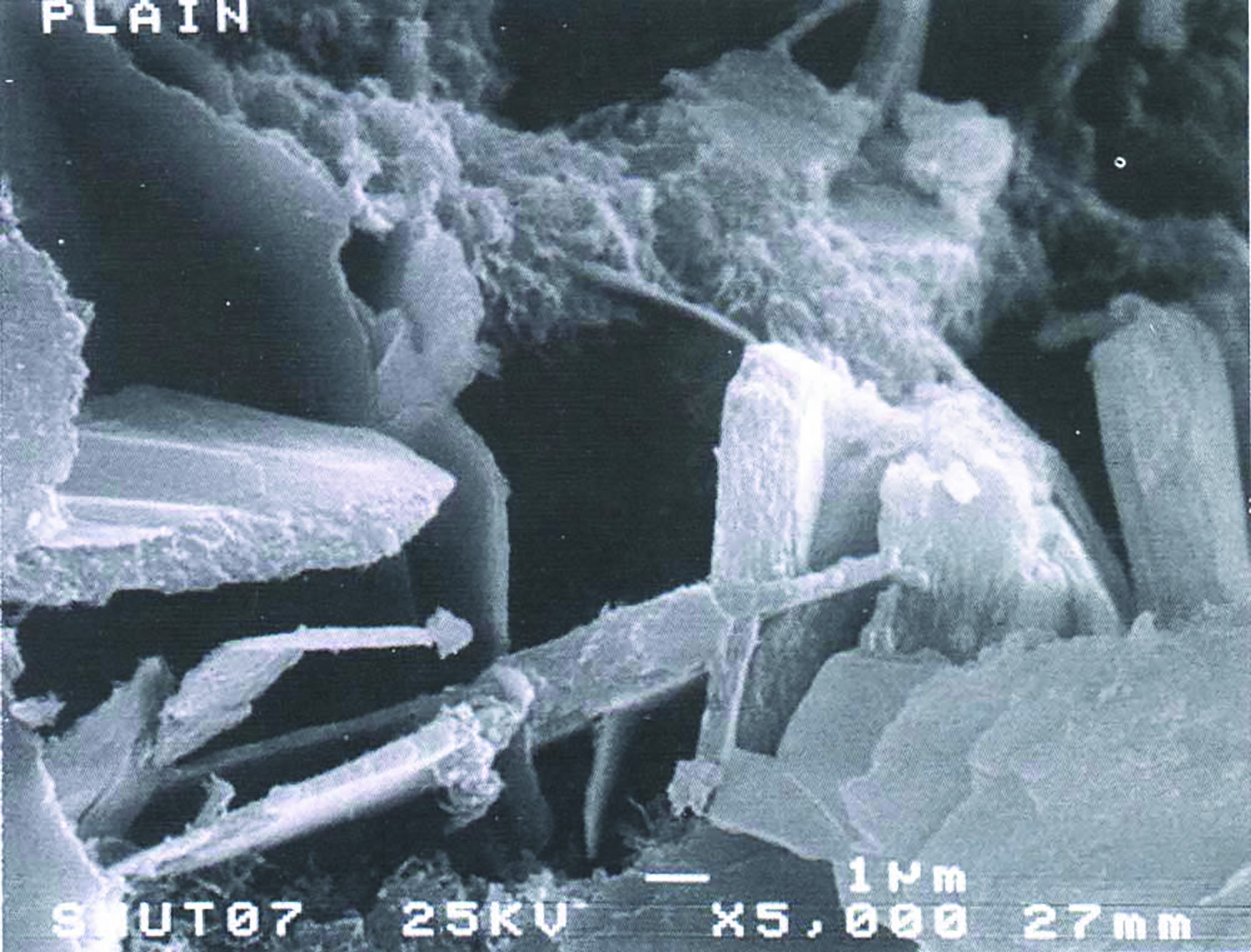 As shown above, the integral crystalline waterproofi ng (ICW) admixture starts crystallization and develops its needle-like crystals in concrete as defense against water damage and corrosion of rebar. Keeping the material strong helps maintain the building. Photos courtesy University of Seoul