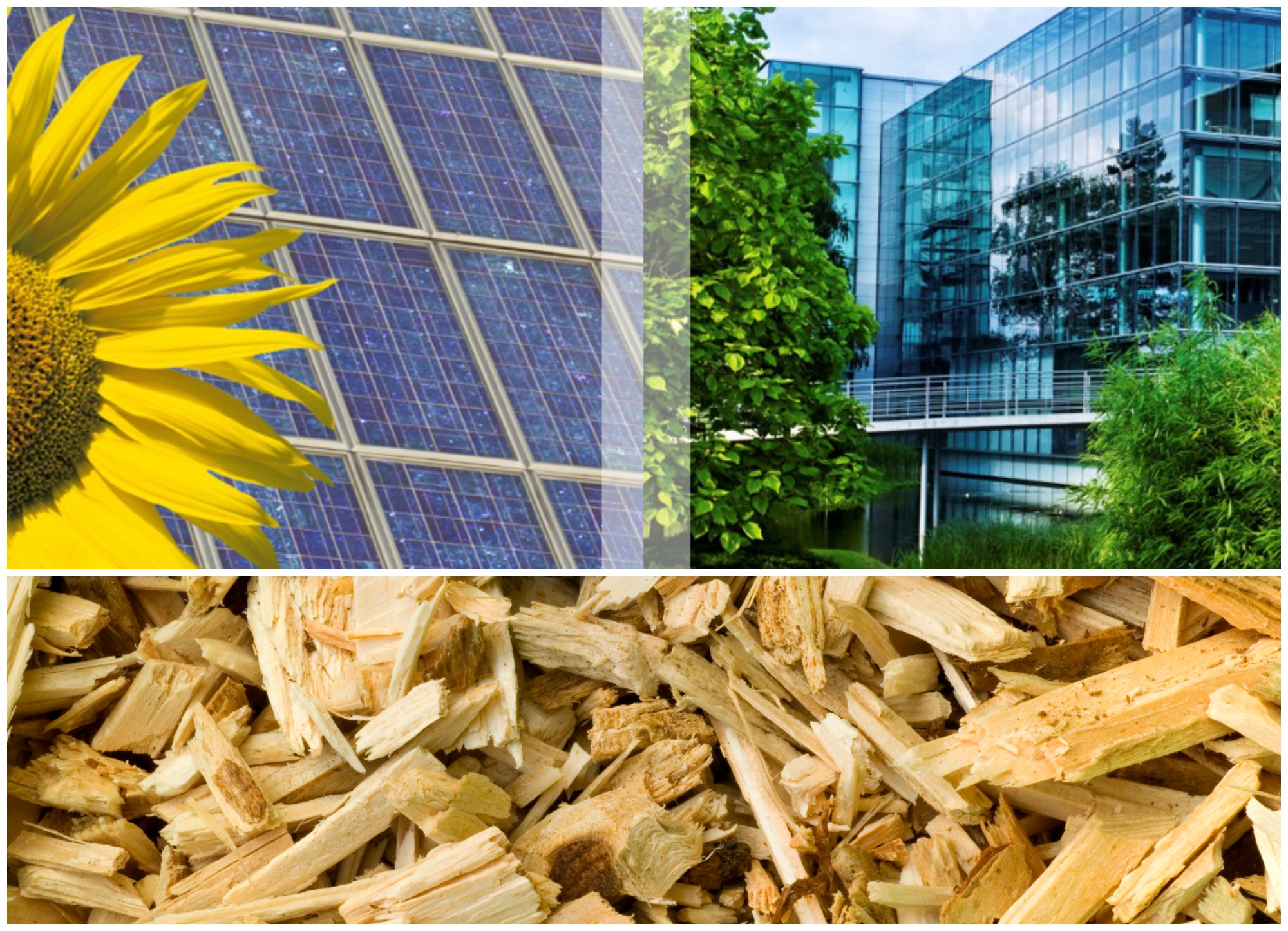 bipv+biomass