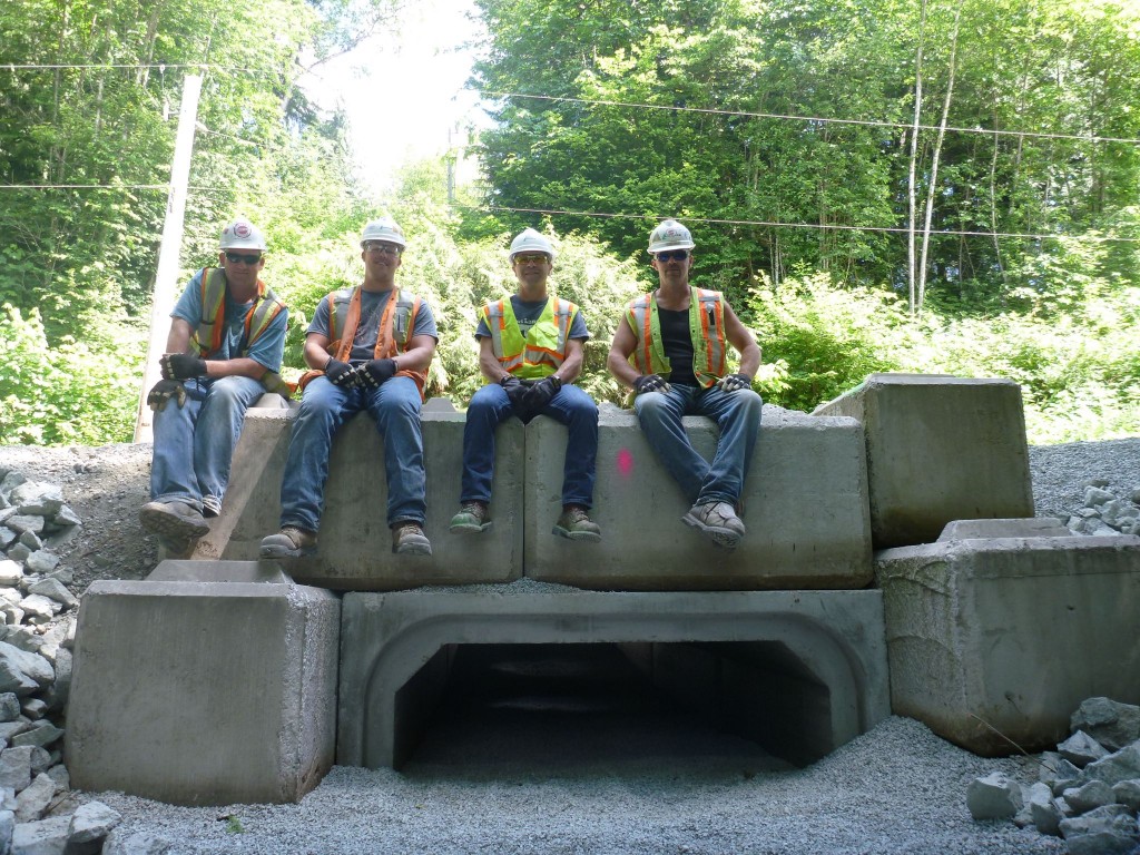 Lafarge Volunteers Atop Amphibian Tunnel