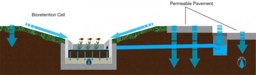 Mississauga’s green street project on Elm Drive’s cross-section shows the stormwater flow draining into a catch basin in permeable pavement connected via piping to a bioretention cell with underlying perforated pipe. Image © Tyler Babony