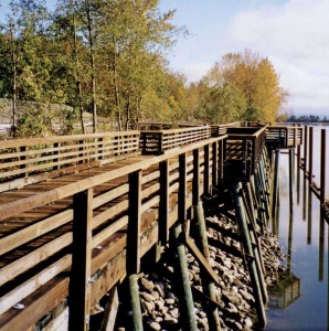 Creosote-treated marine pilings support a waterside pedestrian walkway. Photos courtesy Wood Preservation Canada