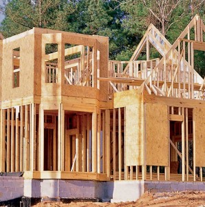 Borate pressure treatment protects lumber and plywood products used in protected or interior construction.