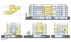 Building sections through social spaces––a three-dimensional space diagram. Image courtesy Perkins+Will Canada