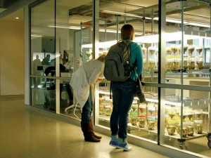 At the University of Calgary's Energy Environment Experiential Learning (EEEL), students can look into the classroom to see what others are doing. Photo courtesy University of Calgary