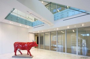 Fire-rated glass systems can help transfer light to interior spaces. Photo courtesy Pilkington