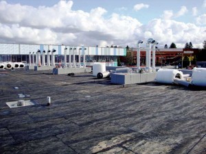 Asphaltic core boards are used to protect the roof membrane from potential mechanical damages during green roof installation.