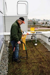 This technician checks the green roof using Electric Gradient Leak Locate–a non-destructive method that can pinpoint membrane breach under overburdens. Photo courtesy Detec Systems