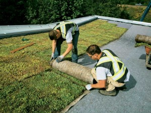 Pre-grown green roof systems can simplify installation and reduce the needs of using landscape tools such as shovels and rakes that can cause puncture to the roof membrane. Photos courtesy Xero Flor International