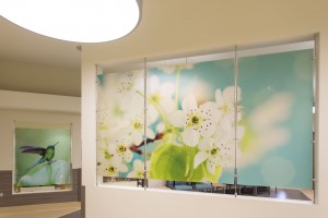 These glass panels allow the separation of space while providing artwork to brighten the space. 