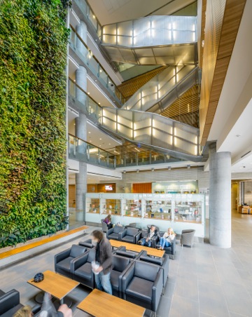 The Ottawa Social Sciences building contains a large living wall in the atrium, for students and visitors alike to congregate around.