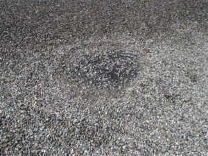 Blisters rising above gravel surfacing in a BUR at a commercial building in Brampton, Ont.