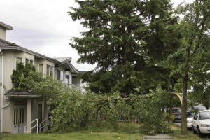 A recent report recommends a new national standard for the country in response to high-wind damage to Canadian homes. Photo © www.bigstockphoto.com