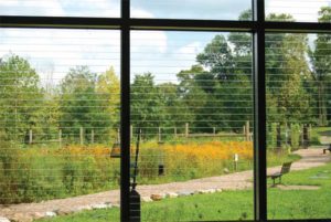 Acid-etched line patterning used on the outside window surface in order to prevent bird-window collisions at the Berks County Nature Center in Reading, Pa.