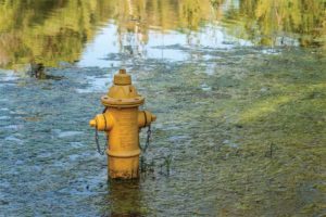 Within two days in August 2018, Toronto received almost 14 per cent of its annual rainfall, causing great damage and more than $80 million in insurance claims. Photo © BigStockPhoto.com