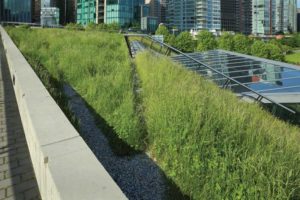 The Association de la construction du Québec (ACQ) is fighting a new bylaw mandating green roofs in Gatineau, Qué. (The photo is provided for illustrative purposes only.) Photo courtesy University of Toronto GRIT Lab