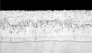 Figure 2: Cross-section of typical galvanized coating showing the various iron-zinc alloy layers.