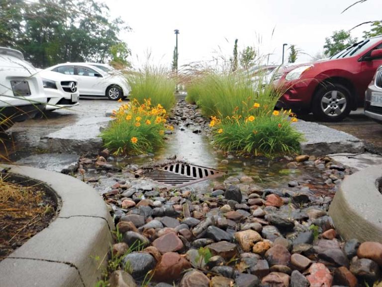 Managing stormwater with bioretention low impact development systems ...