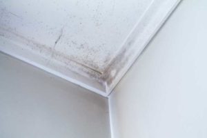 Condensation on the chilled interior side of uninsulated penetrations supports the growth of mould, which can become airborne years before spreading to visible wall and ceiling surfaces, exposing the owner to remediation and liability costs.