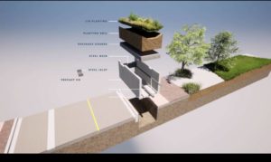 Bioswale network's cross-section shows the layers forming its structure.