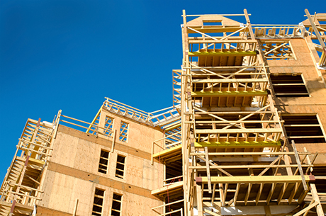 Emerging timber construction site showcasing the growing trend of wooden frameworks in modern building practices.