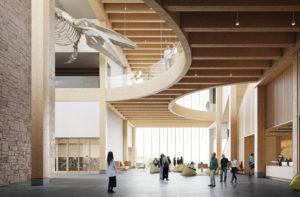 Museum interior with large whale skeleton and wooden spiral staircase.