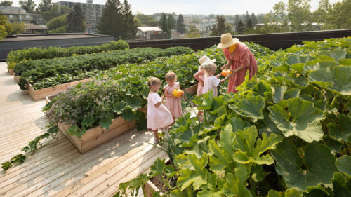 Woman with little kids near a horticulture patch on the roof of a building