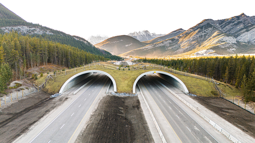 Grass-covered wildlife overpass spans a highway, blending into a forested, mountainous landscape.