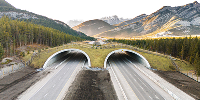 Grass-covered wildlife overpass spans a highway, blending into a forested, mountainous landscape.